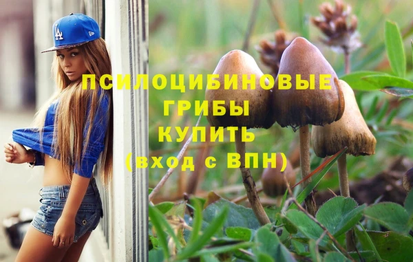 Альфа ПВП Волоколамск