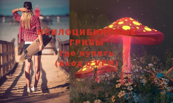 дмт Володарск