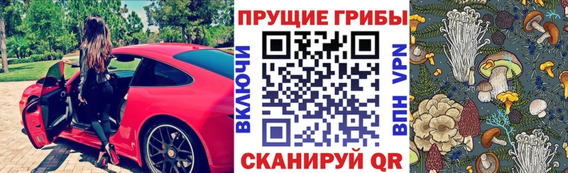 Псилоцибиновые грибы MAGIC MUSHROOMS Карачев