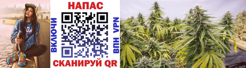 Бошки марихуана Bruce Banner Карачев